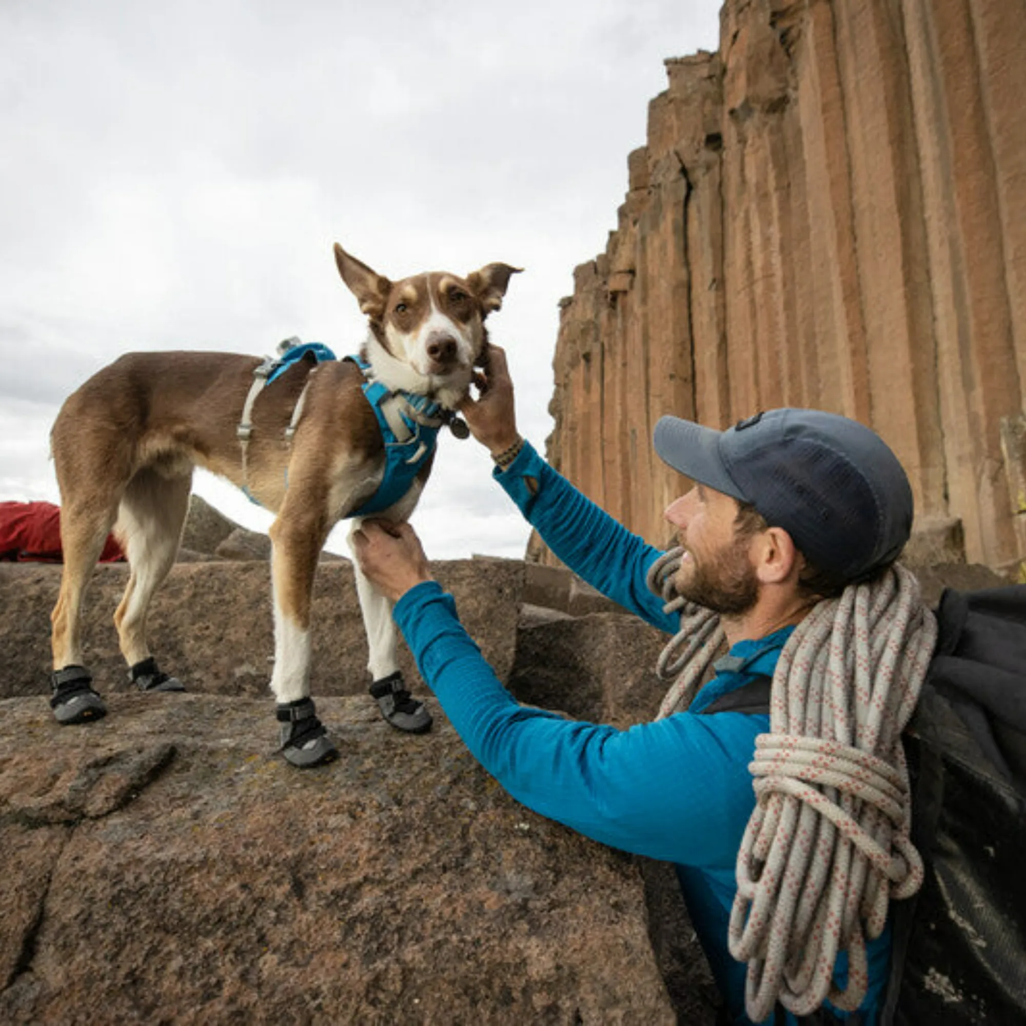 Grip Trex Dog Boots